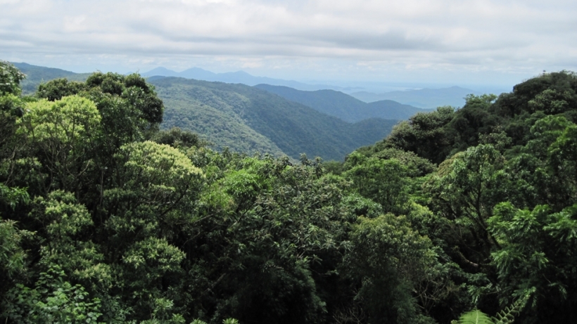 Model Predicts How The Amazon Forests Will React to Climate Change ...