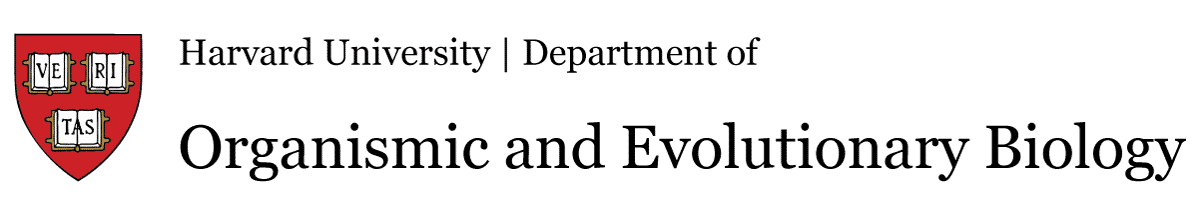 OEB Logo-Text