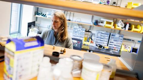 Postdoc Kiah Hardcastle working in the lab