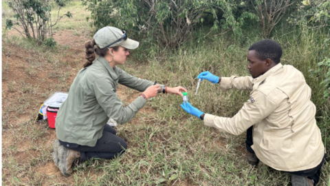Woman in a hat and man in gloves working in a field in Africa