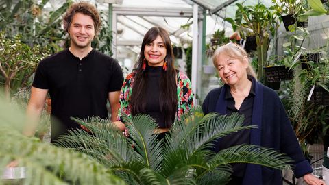 A  man and two women standing in front of a plant