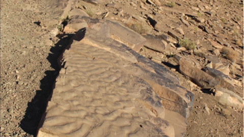 fossil microbial mat in Morocco