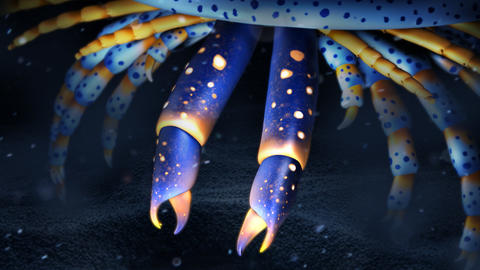 Artistic reconstruction of a 500 million year old animal