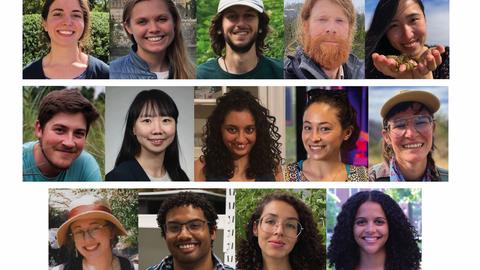 Collage of the 14 OEB PhD graduates in three rows of portraits