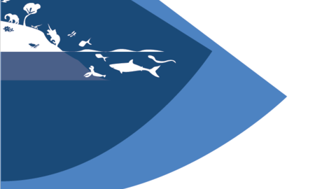 cover of the 2019-2020 OEB Annual Report