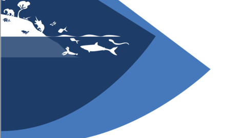 cover of the 2021-2022 OEB Annual Report
