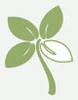 Green leaf