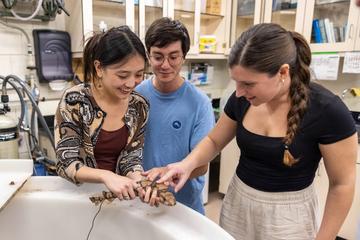 Dakota Law (from left) holds a chain catshark for fellow student researchers Nick Wallis Mauro and Gianna Mitchell. Credit:&nbsp;Scott Eisen