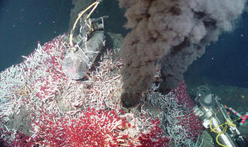 Girguis Ocean