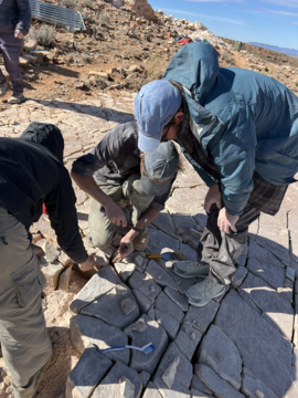 The team excavating LV-FUN bed, where Uncus was first recognized. Credit: Gene Oh