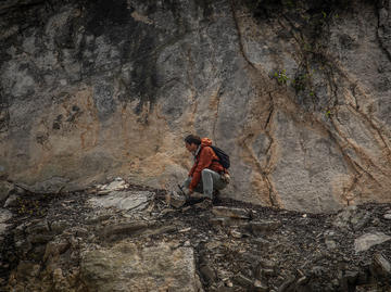 Javier Luque (Harvard University) looking for fossil crabs in the Colombian Andes. Credit: Daniel Ocampo R. (Vencejo Films)