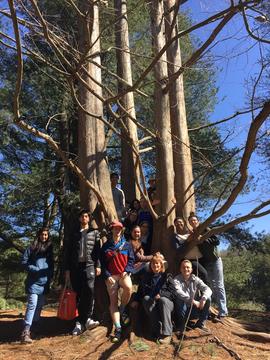 OEB 52: The Harvard Forest