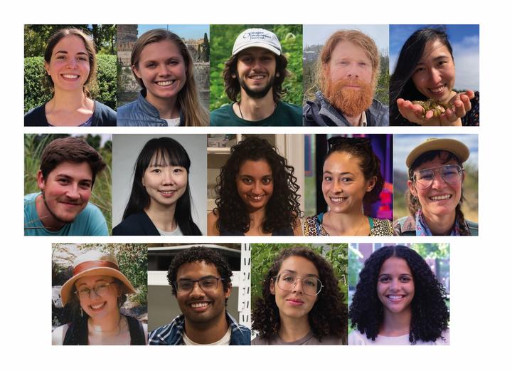 Collage of the 14 OEB PhD graduates in three rows of portraits
