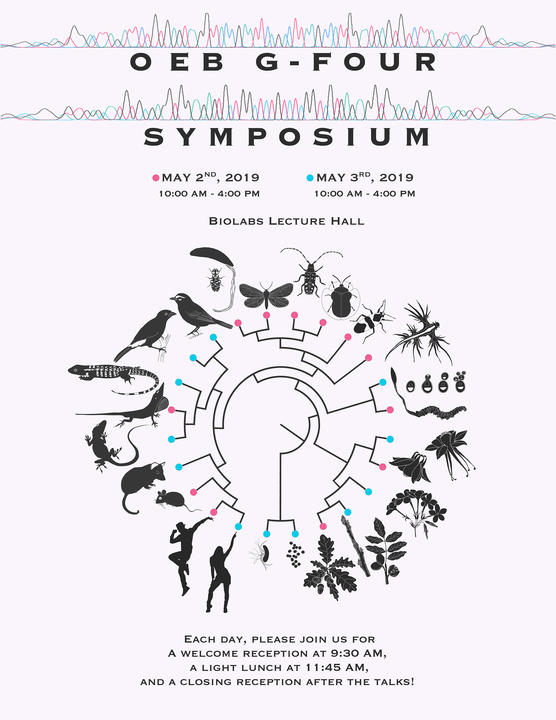 2019 G4 Poster by Ya Min