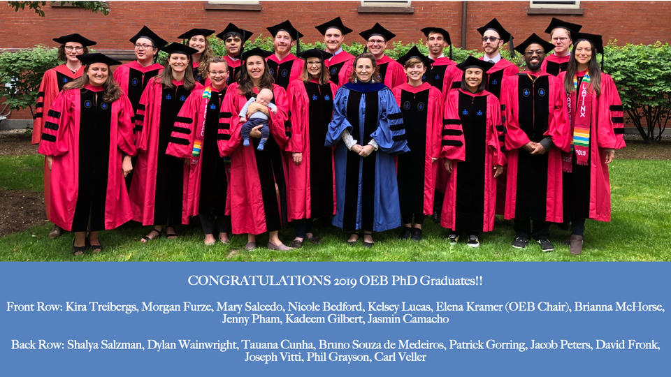 2019 PhD Graduates