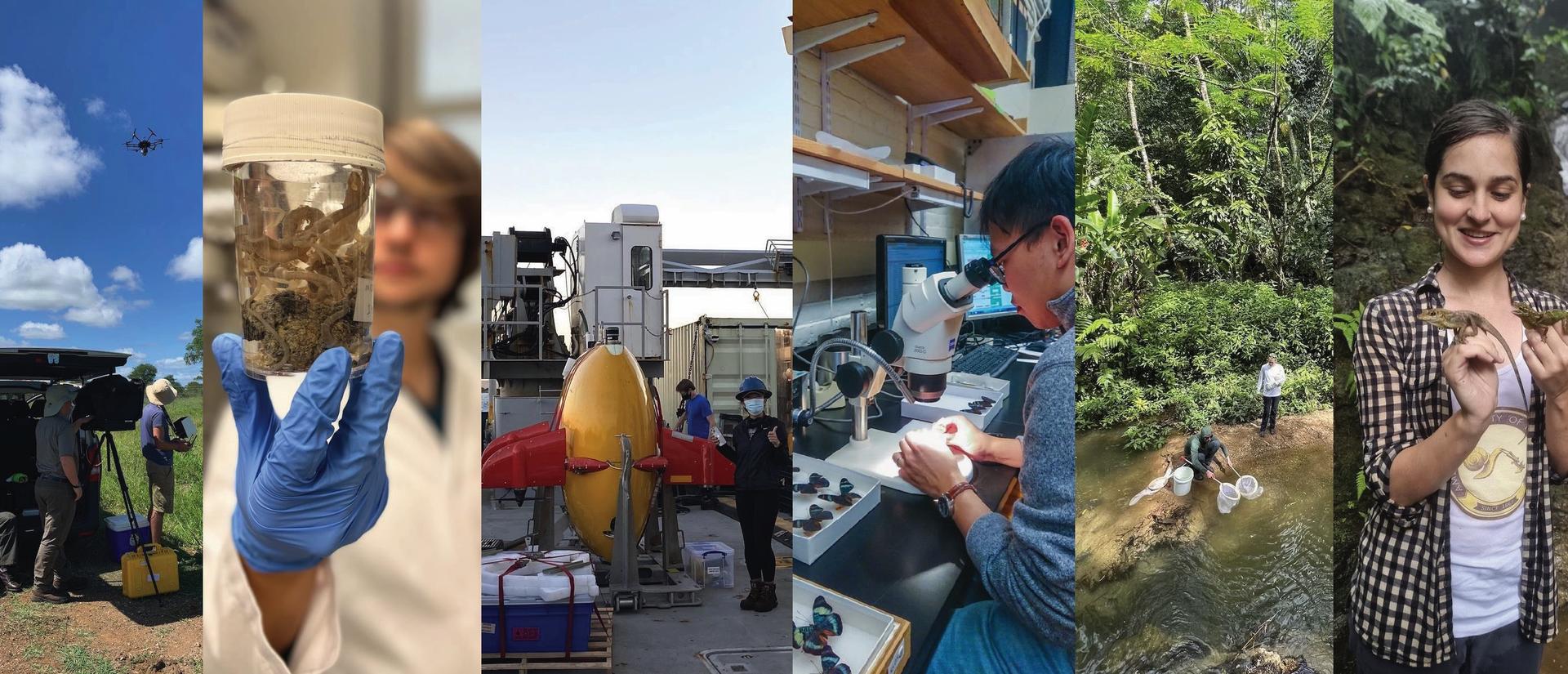 Images of OEB Graduate Students in the lab and field