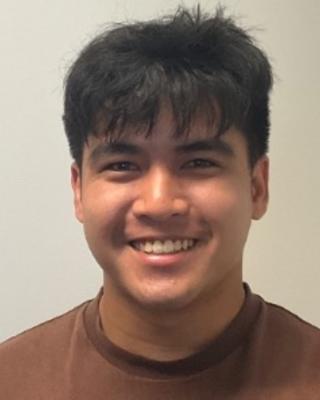 Mark Teh with dark hair in a brown shirt, in front of a beige background