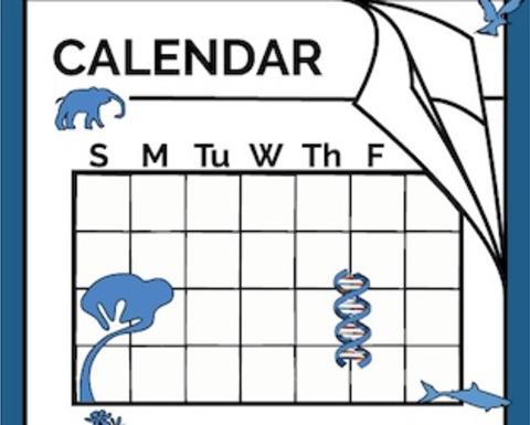 OEB Calendar Icon-Reduced